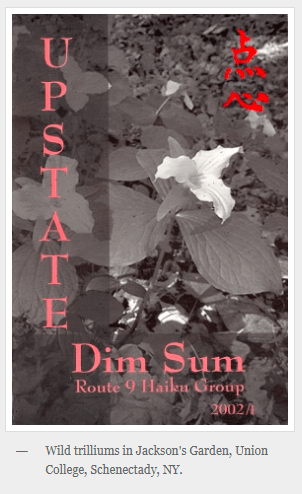 cover image, Spring 2002 issue