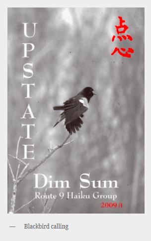 cover image, Spring 2009 issue