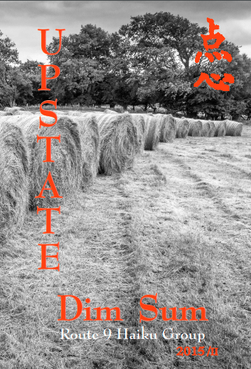 cover image, Autumn 2015 issue