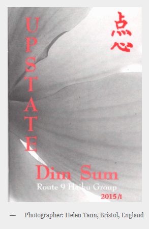 cover image, Spring 2015 issue