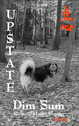 cover image, Autumn 2017 issue