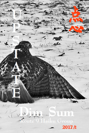 cover image, Spring 2017 issue