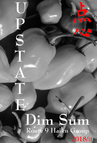 cover image, Autumn 2018 issue