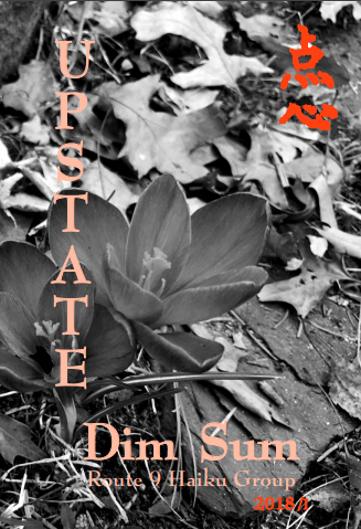 cover image, Spring 2018 issue