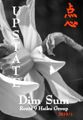 cover image, Spring 2019 issue