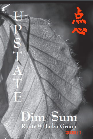 cover image, Spring 2020 issue