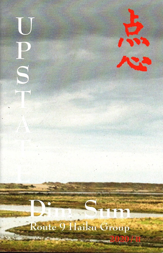 cover of Autumn 2020 20th anniversary issue 